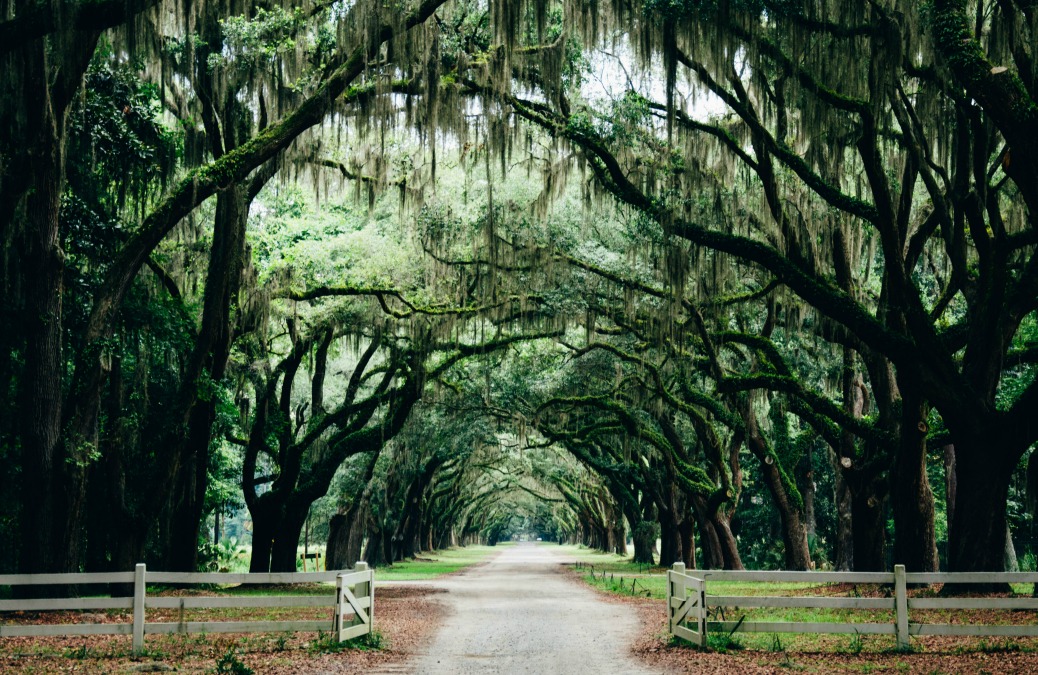 6 Unmissable Louisiana Adventures