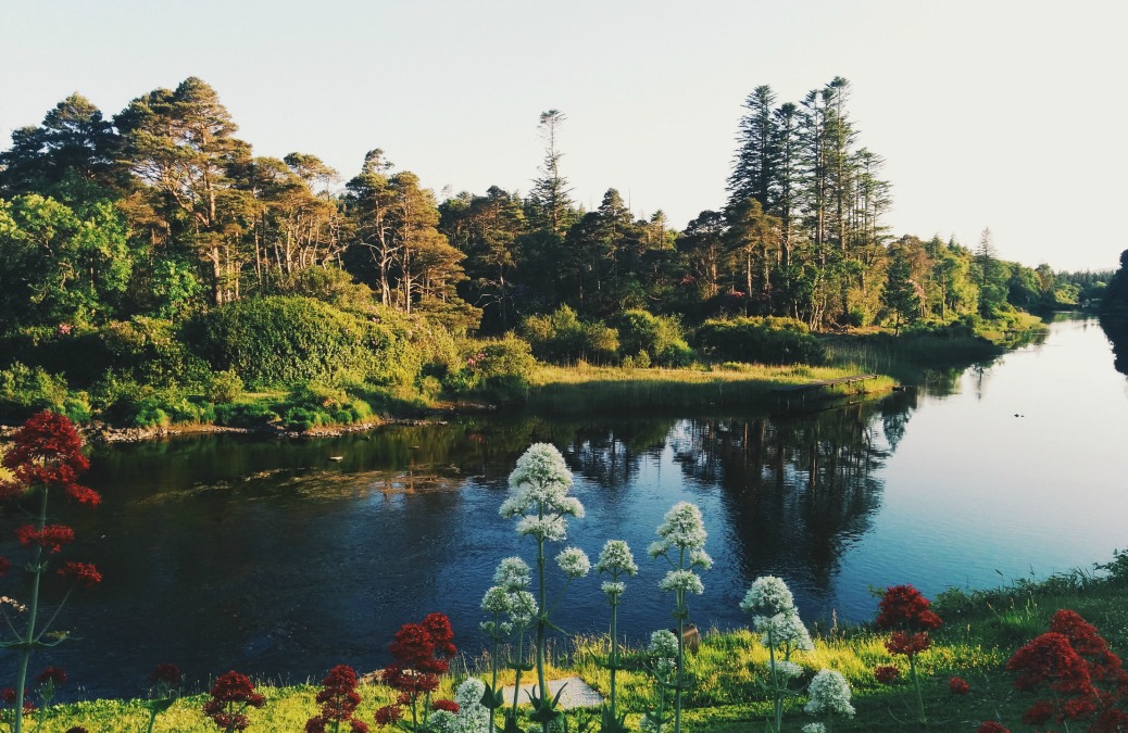 Mini Travel Guide: Ireland